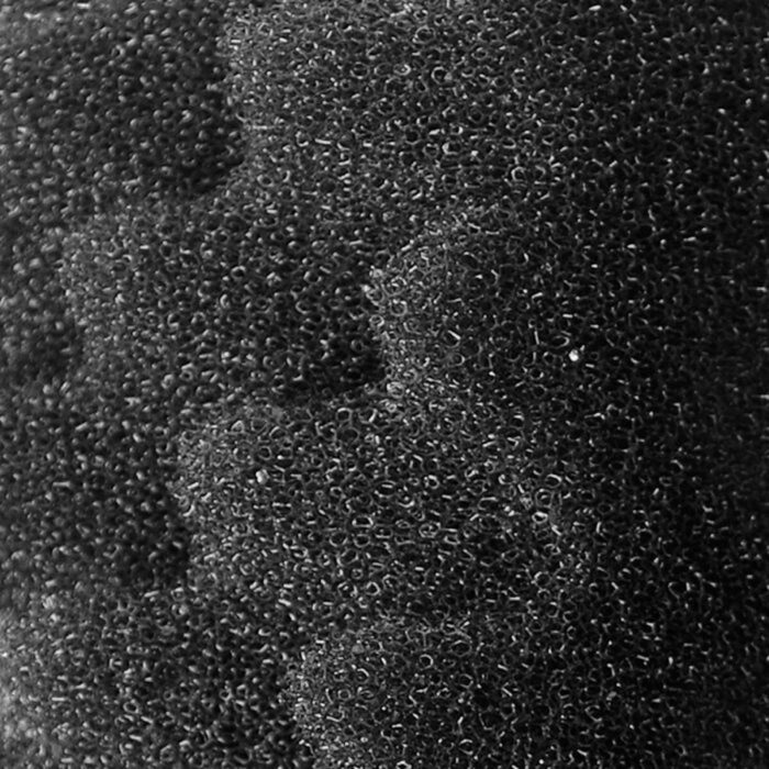 S71016599_2